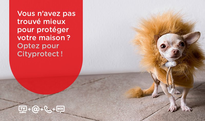 Cityprotect, la fin des inquiétudes  