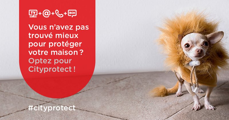 Cityprotect se renforce